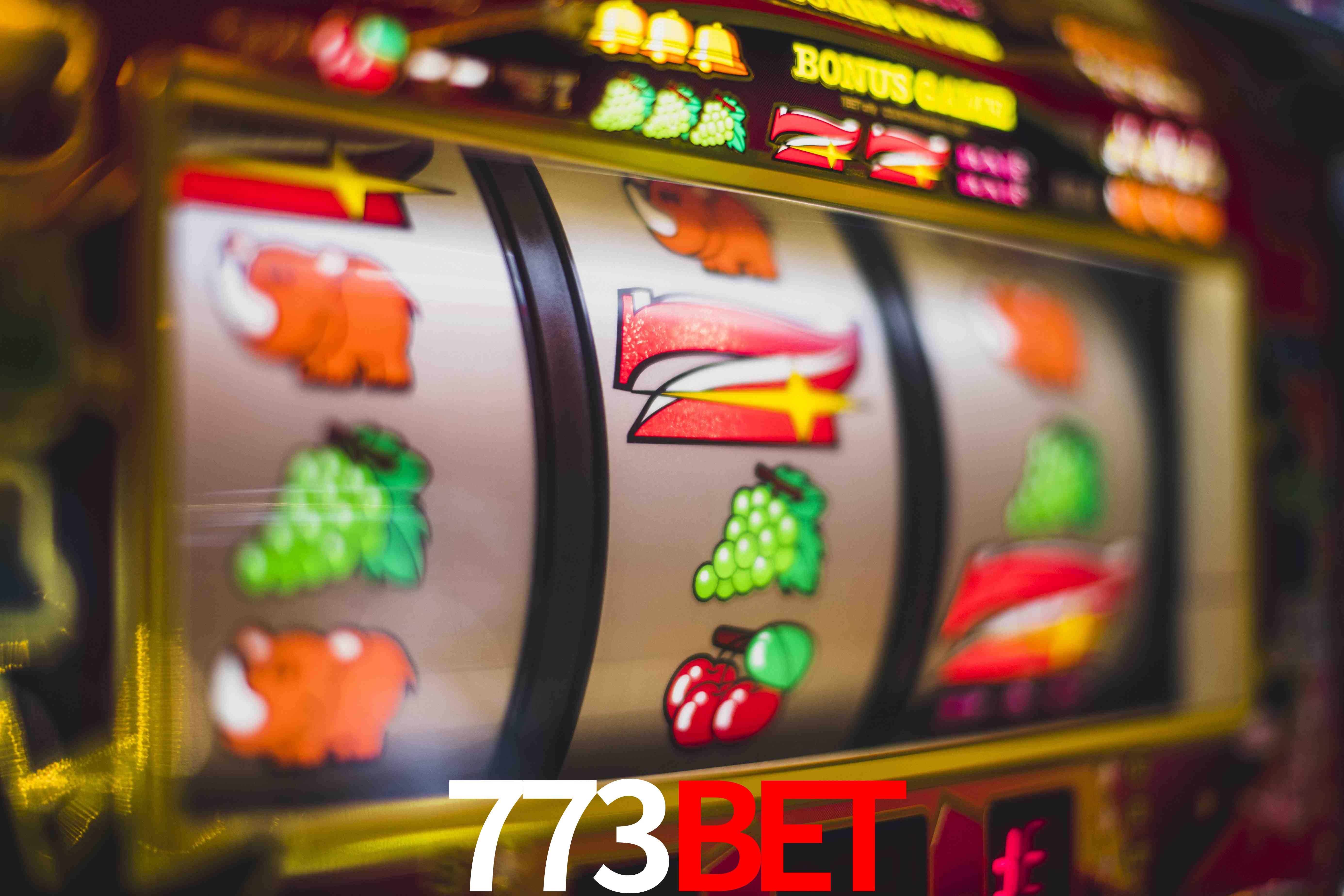 Aviator Game 773bet